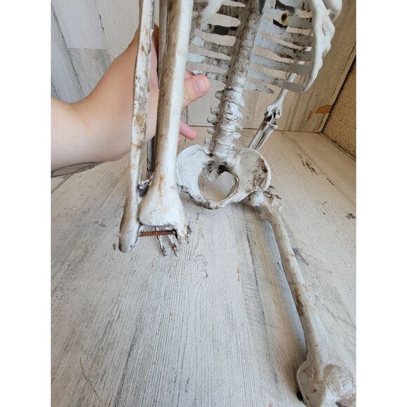 Skeleton AS IS jointed hanging Halloween home decor prop scary - Picture 6 of 15